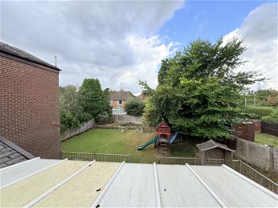 Picture 20